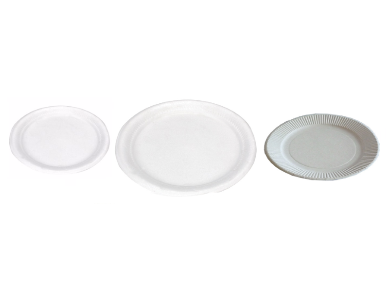 Disposable Plates